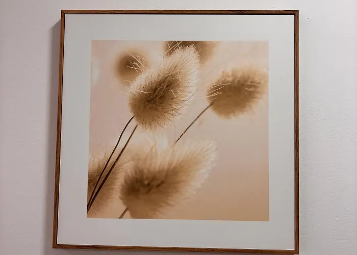 公寓 Loft Centrico Maliano - Dua